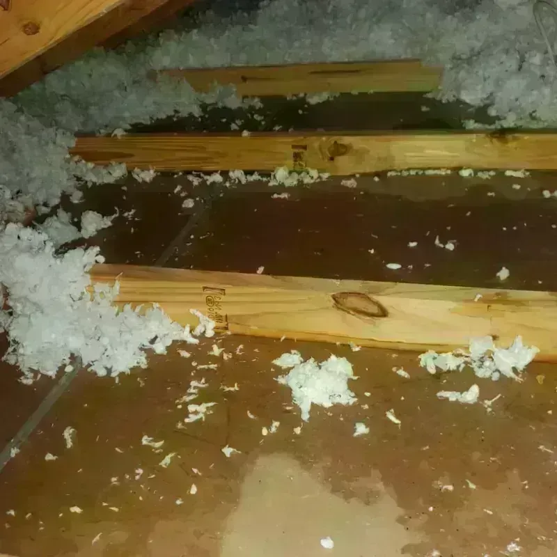 Attic Water Damage in Champaign County, IL