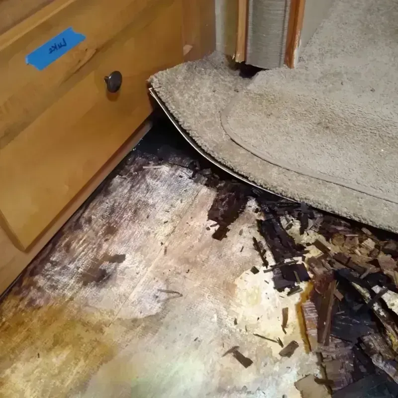 Wood Floor Water Damage in Champaign County, IL